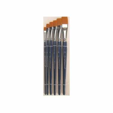 Penselen set etui 6 stuks