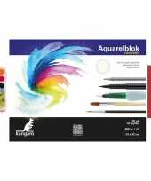 Schilderen waterverf set 7 kwasten aquarelblok 32 bij 24